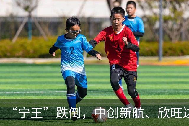 “宁王”跌倒，中创新航、欣旺达爆发！吴晓波谈宁德时代困境：车企开始“夺权”，超级供应商要从控制客户，转变为共生共存