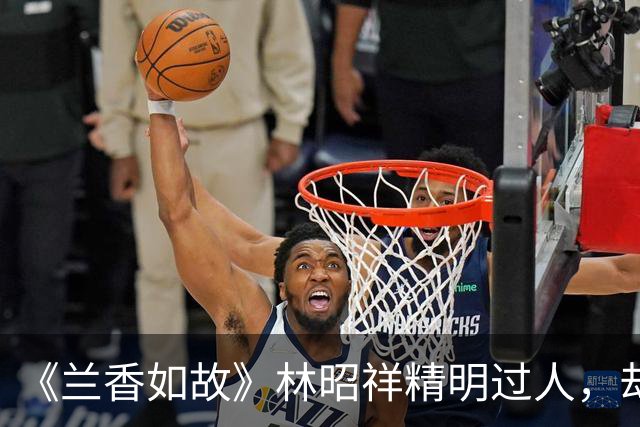 《兰香如故》林昭祥精明过人，却守着糊涂妻子，为什么从不纳妾