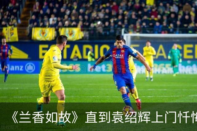 《兰香如故》直到袁绍辉上门忏悔，林锦岐才知，许兰香还有隐瞒