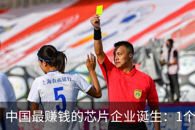 中国最赚钱的芯片企业诞生：1个月利润，是中芯国际3年的利润