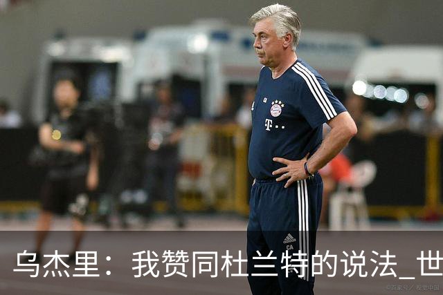 乌杰里：我赞同杜兰特的说法 世界上只有一个欧文