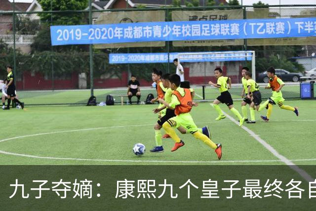 九子夺嫡：康熙九个皇子最终各自下场