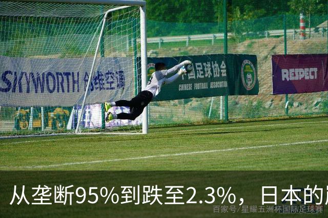 从垄断95%到跌至2.3%，日本的崩溃循环，中国亲手按下终止键