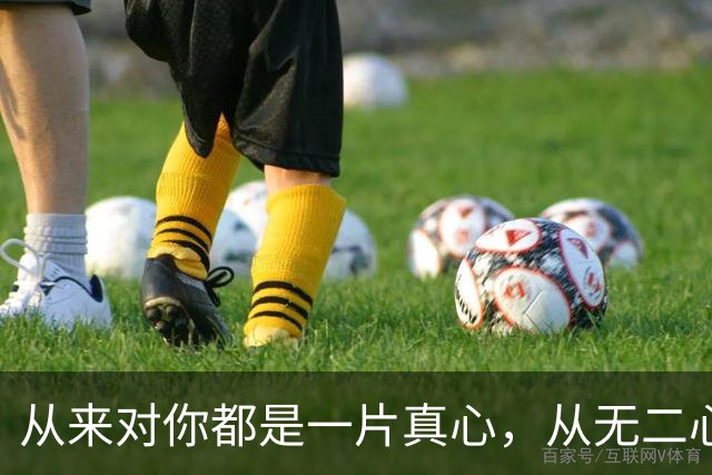 从来对你都是一片真心，从无二心
