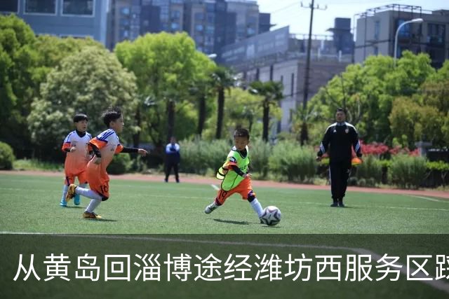 从黄岛回淄博途经潍坊西服务区踩雷，28块的全羊汤和火烧太让人失望