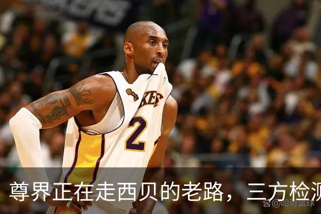 尊界正在走西贝的老路，三方检测正在陷入自证陷阱
