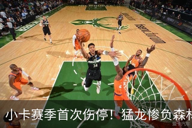 小卡赛季首次伤停！猛龙惨负森林狼吞首败 华子26分巴恩斯12中0