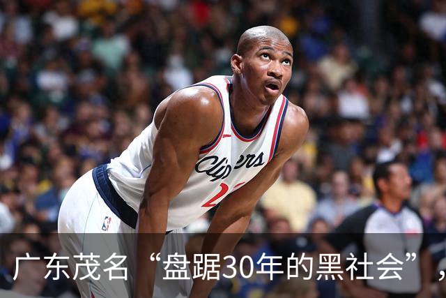 广东茂名“盘踞30年的黑社会”，最大保护伞竟是一名正科级住建局长？