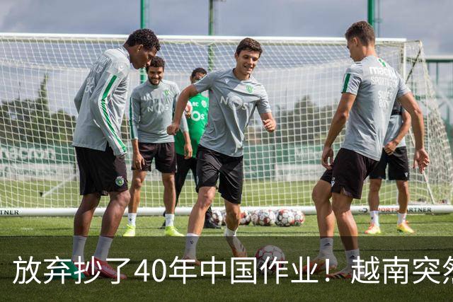 放弃抄了40年中国作业！越南突然掉头，跟韩国学起了豪赌财阀经济
