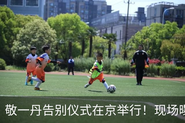 敬一丹告别仪式在京举行！现场曝光太低调，王宁水均益徐俐都来了