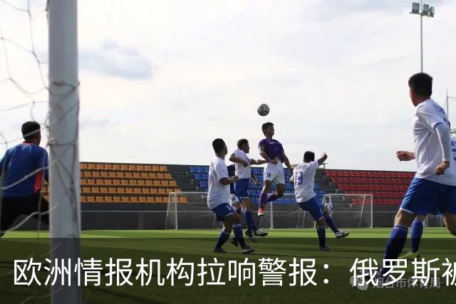 欧洲情报机构拉响警报：俄罗斯被曝加大秘密行动！军工高管成目标