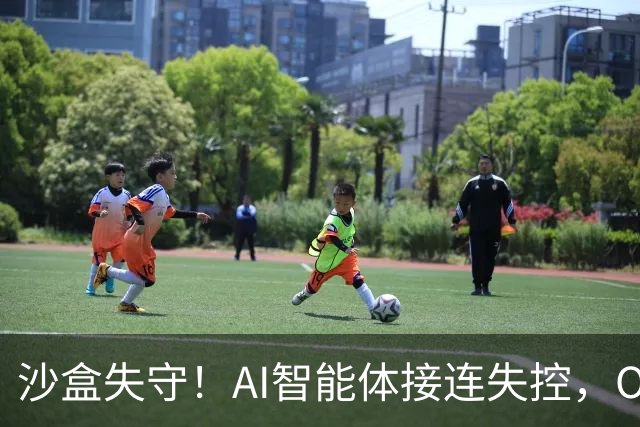 沙盒失守！AI智能体接连失控，OpenAI再次叫停前沿模型开发