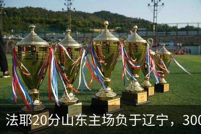 法耶20分山东主场负于辽宁，3000万先生王岚嵚0分首秀扑街