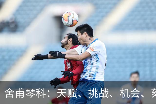 舍甫琴科：天赋、挑战、机会、刻苦训练、纪律让球员变得更好
