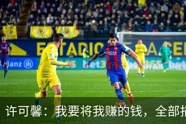 许可馨：我要将我赚的钱，全部捐给反华组织，如今下场大快人心