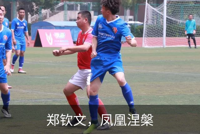 郑钦文，凤凰涅槃