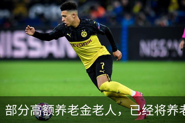 部分高额养老金老人，已经将养老金作为养儿养孙的主要经济来源！