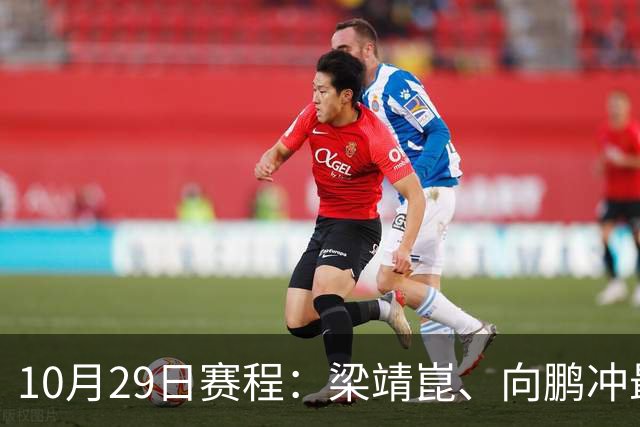 10月29日赛程：梁靖崑、向鹏冲最后16强2个名额！女队王艺迪冲8强