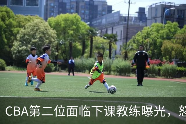 CBA第二位面临下课教练曝光，怒喷球迷被重罚，杨鸣有望接替